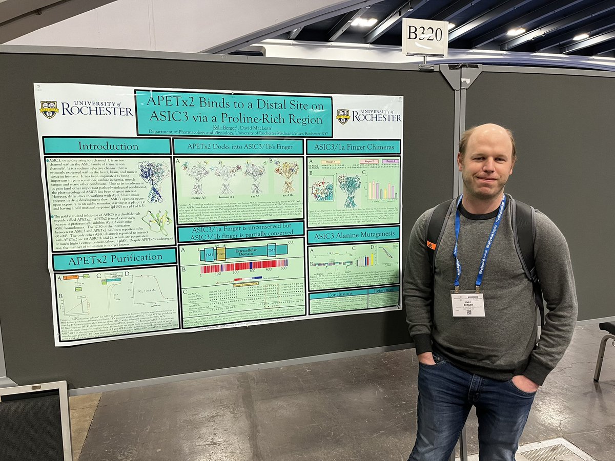 Matthew Rook (@matthewrook9) on Twitter photo MacLean Lab representing strong! Come visit posters B320 and B325 in Ligand-Gated Channels poster session to learn some awesome work by these two on ASICS! <a href="/tyler_couch/">Tyler Couch</a> <a href="/berg1029/">Kyle Berger</a> MacLean Lab representing strong! Come visit posters B320 and B325 in Ligand-Gated Channels poster session to learn some awesome work by these two on ASICS! <a href="/tyler_couch/">Tyler Couch</a> <a href="/berg1029/">Kyle Berger</a>