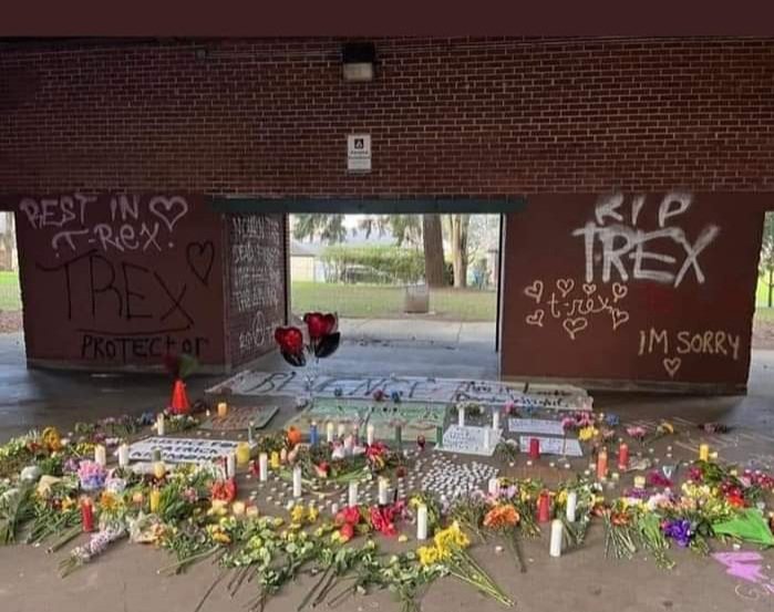 laureenm01's tweet photo. A makeshift memorial dedicated to her . Her nickname was T-Rex
RIP #JuneKnightly https://t.co/nUqXjkjLMc
