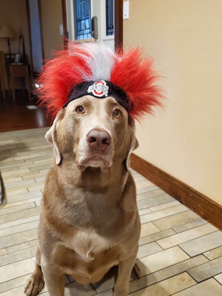 smlaser's tweet photo. @bunsenbernerbmd #HatFriendDay
Hi Beaks! https://t.co/FUTdReyMmR