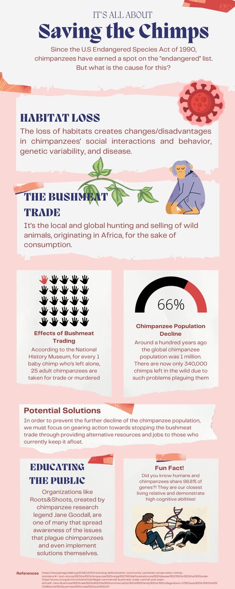 ElenaMValla1's tweet photo. Hey everyone! Here's some info about chimpanzees and the reasons why they are endangered. I would greatly appreciate you reading it and sharing your thoughts! #39canimals #chimpanzees #savethechimps https://t.co/uTX6yBQRKF