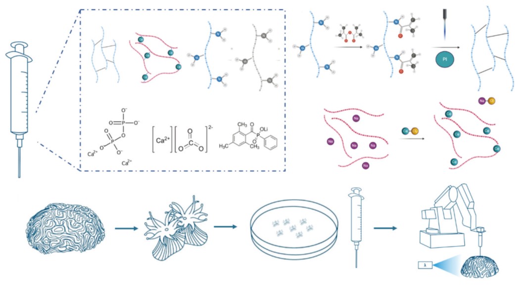IJB_ASP's tweet image. An eco-friendly #biofunctional #ink from #biopolymers can potentially be used to restore rigid living systems under wet conditions. Read more: dx.doi.org/10.18063/ijb.v…