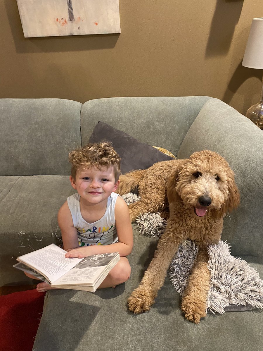 Molly the Golden doodle is enjoying a story too! <a href="/MannEaglesSPS/">Mann Elementary</a> <a href="/officialSPS/">Springfield Public Schools</a> #SPSreads