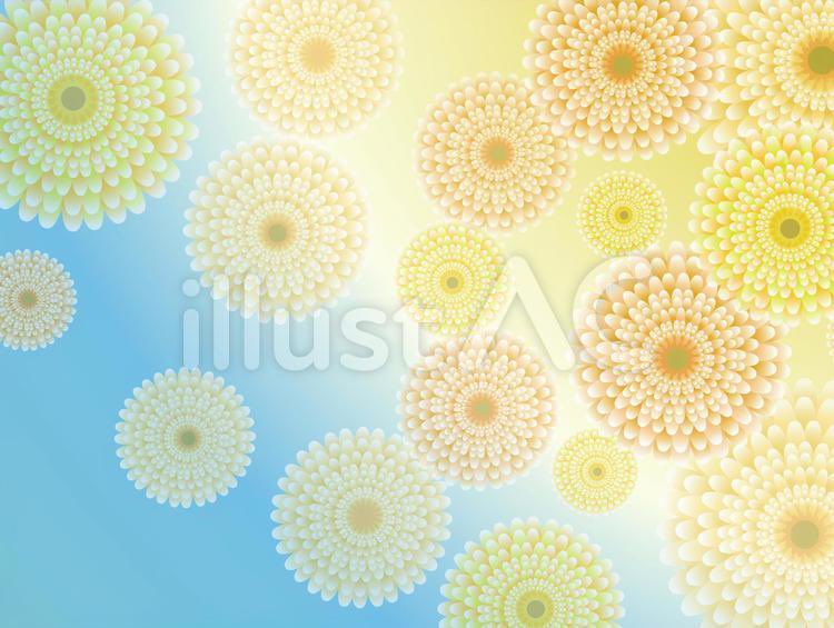 Nozomi ゆる可愛イラスト工房 フリーデザイナー Nonnodesignlabo Nonnodesignlabo Twitter