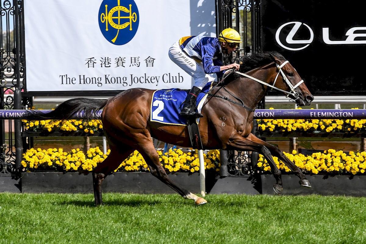FirstLight_FLR's tweet photo. Since 2016 - First Light Racing has purchased 25 yearlings from @inglis_sales Premier Sales and they've combined for 65 WINS including 22 METROPOLITAN WINS 🏆💛💙 

25 yearlings for 65 WINS @ashdowley 

#TeamFIRST

Bring on next week's Melbourne Premier Sales! https://t.co/WSRQDnmcxo