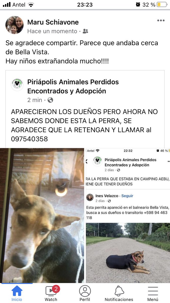 MaruSchiavone's tweet photo. Por favor, ayúdenos a encontrela https://t.co/WGIGKelLTM
