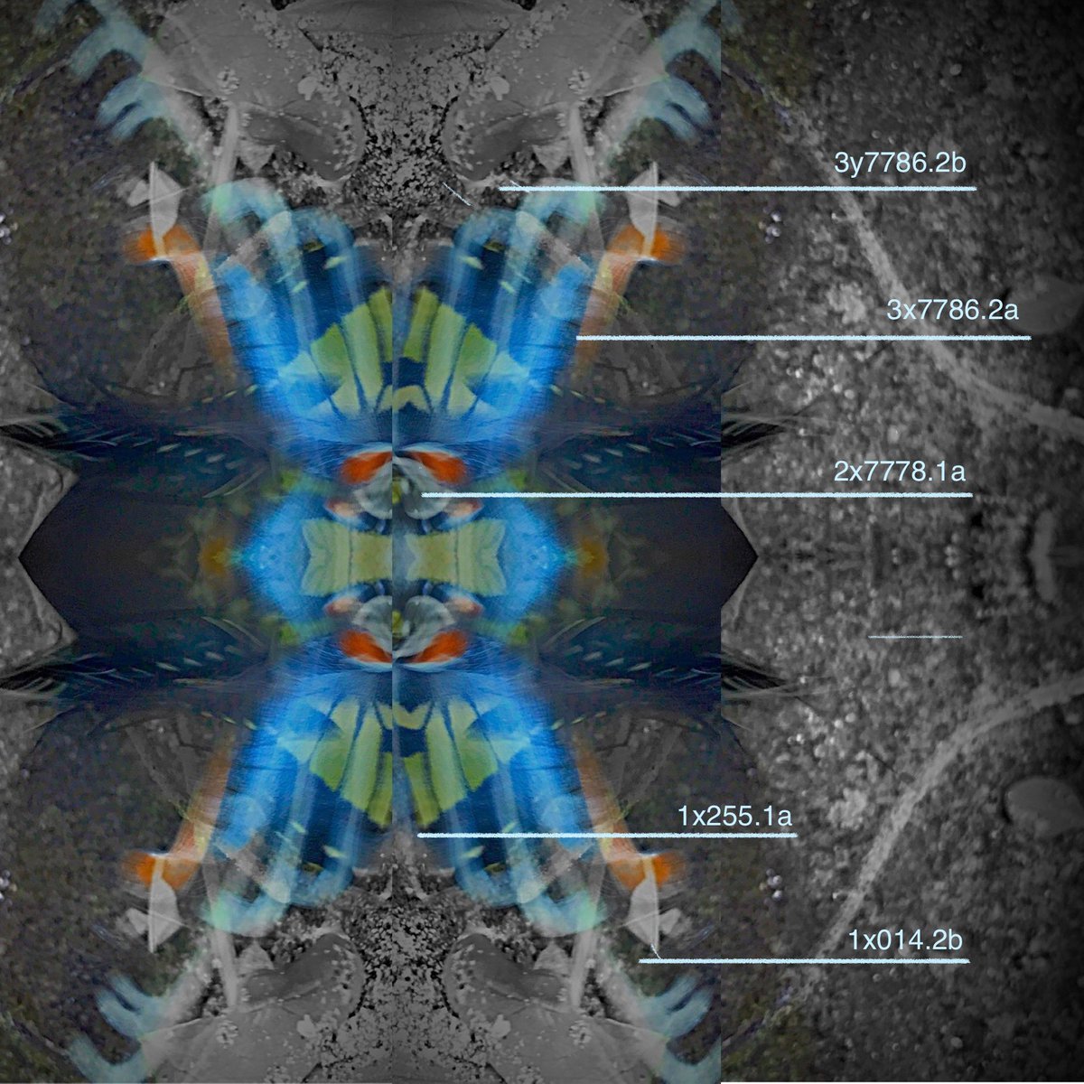 JanusProjectNFT's tweet image. Hieroglyph (Ruined Temple)

The ancient but still vibrant symbols found on the walls of the ruined temple were cataloged by Janus 1 Rosetta AI for translation, which eventually decoded a fourteen phrase fractal linguistic ‘key’.

#scifi #scifiart #fractalart #artnft #NFT #HBARNFT