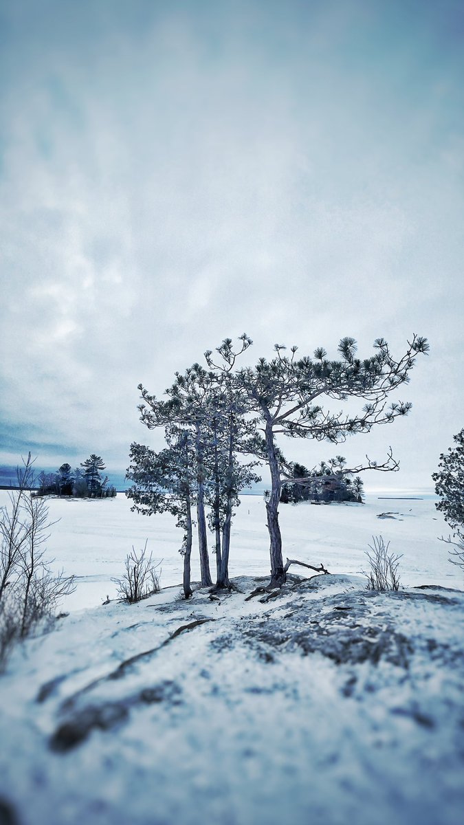 richarddeAth7's tweet photo. #NorthBay #Canada https://t.co/ikgCXLW7BX