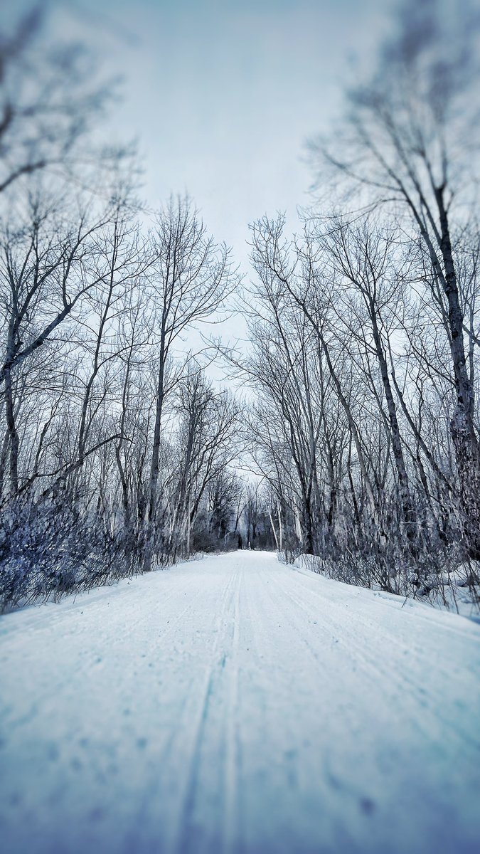 richarddeAth7's tweet photo. #NorthBay #Canada https://t.co/ikgCXLW7BX