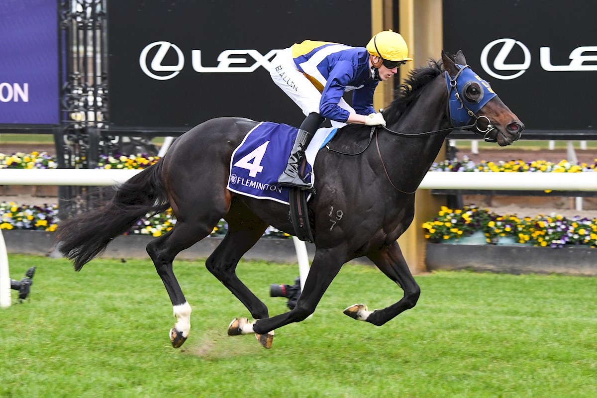 FirstLight_FLR's tweet photo. Since 2016 - First Light Racing has purchased 25 yearlings from @inglis_sales Premier Sales and they've combined for 65 WINS including 22 METROPOLITAN WINS 🏆💛💙 

25 yearlings for 65 WINS @ashdowley 

#TeamFIRST

Bring on next week's Melbourne Premier Sales! https://t.co/WSRQDnmcxo