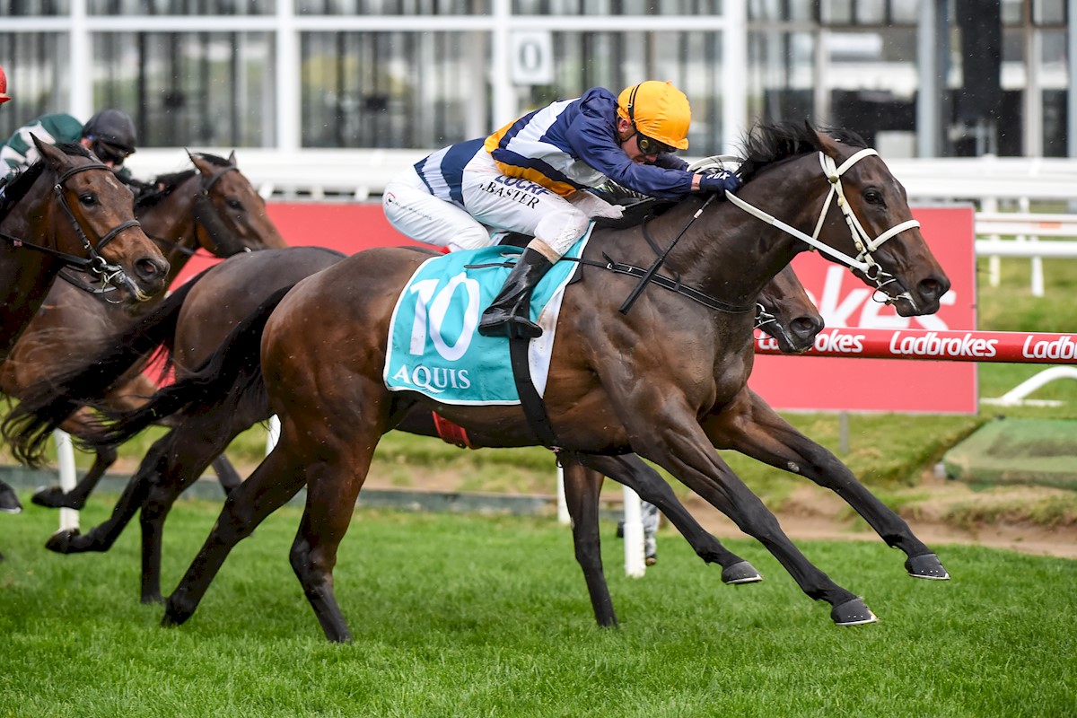 FirstLight_FLR's tweet photo. Since 2016 - First Light Racing has purchased 25 yearlings from @inglis_sales Premier Sales and they've combined for 65 WINS including 22 METROPOLITAN WINS 🏆💛💙 

25 yearlings for 65 WINS @ashdowley 

#TeamFIRST

Bring on next week's Melbourne Premier Sales! https://t.co/WSRQDnmcxo