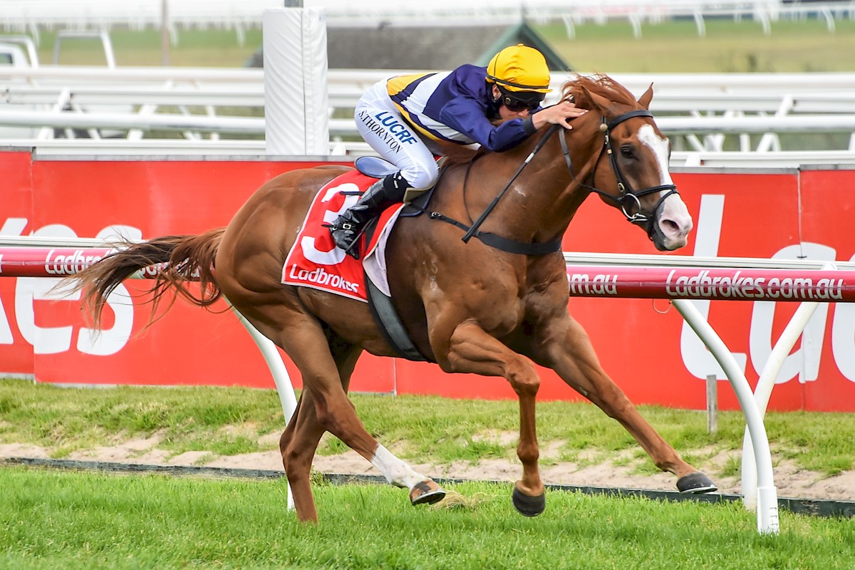 Since 2016 - First Light Racing has purchased 25 yearlings from <a href="/inglis_sales/">Inglis</a> Premier Sales and they've combined for 65 WINS including 22 METROPOLITAN WINS 🏆💛💙 

25 yearlings for 65 WINS <a href="/ashdowley/">Ash Dowley</a> 

#TeamFIRST

Bring on next week's Melbourne Premier Sales!