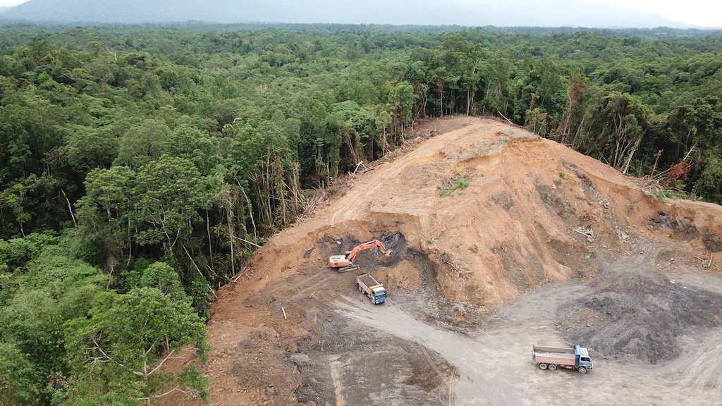 AriAbrams5's tweet photo. #39canimals
Because corporations have the ability to destroy forests, they are also able to help save them. If companies introduce "zero deforestation" policies, they can directly impact forests all over the word. https://t.co/ibVshRpBWB