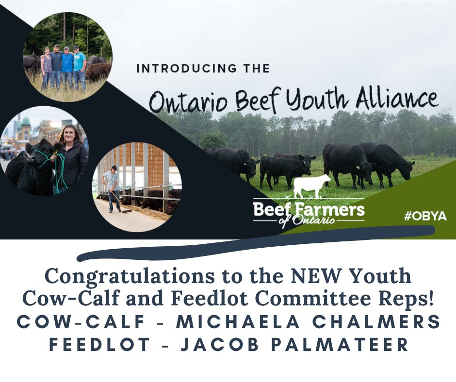 BeefFarmersON's tweet photo. Congratulations to our newly elected Youth reps to the Cow-Calf Committee, @jpdangus and Feedlot Committee, Jacob Palmateer! This is a new position, elected by the #OBYA, chosen to represent young producers in #ontbeef! Learn more about #OBYA here: https://t.co/gP3Uy7lNf1 https://t.co/v9lvkdR0M5