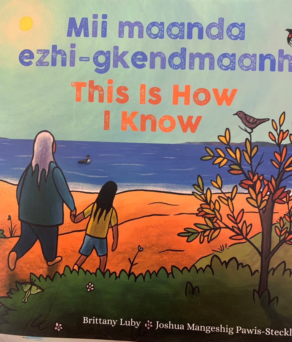 bitsandpieces04's tweet photo. A6-I will strive to do all 21 b/c all are so important!#7-Read books by Indigenous authors to your children.Already on it!A peek into our classroom library shows some books already on our shelves.There will be more!Providing kids knowledge and learning alongside them.#shelfietalk https://t.co/O3BpSyuuNa