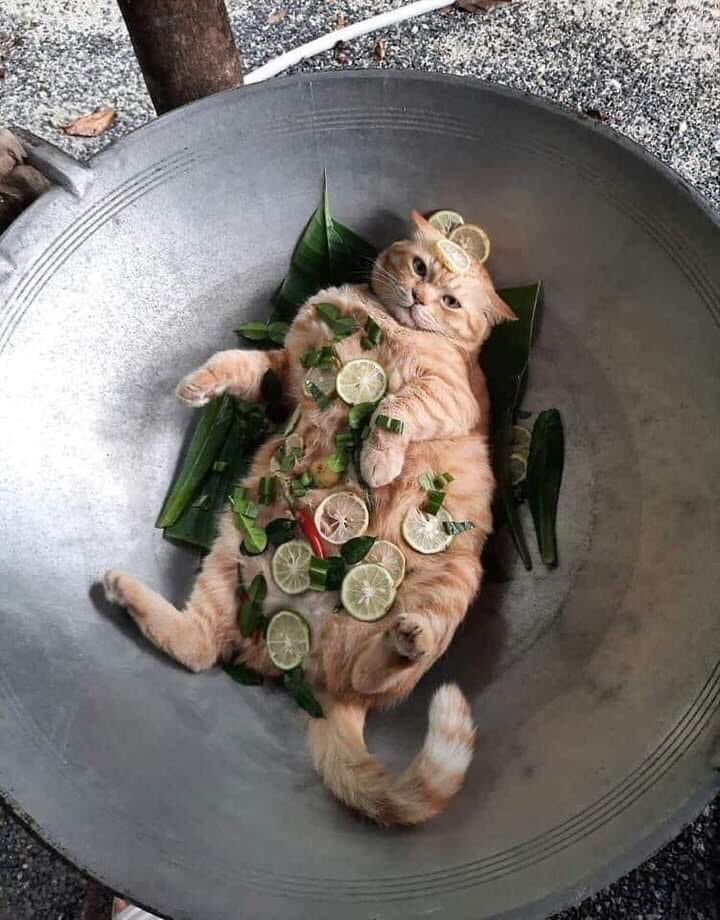 _nrl_nblh's tweet photo. Kanapa comel sangat ni 😁 https://t.co/CzzuPD28Ar