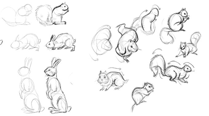 リスは最近勉強してた Studying squirrels 