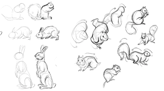 リスは最近勉強してた Studying squirrels 
