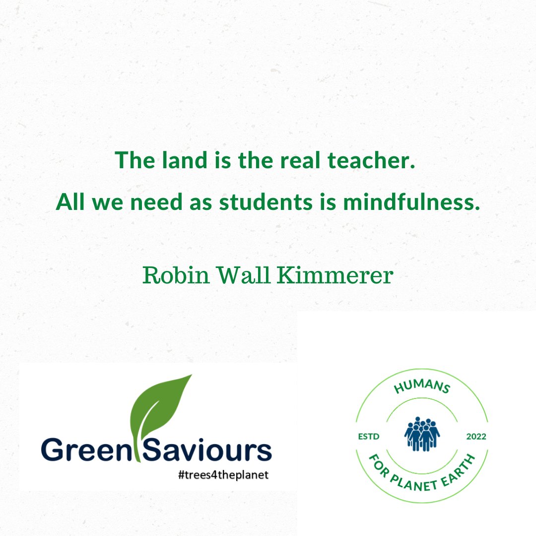 humansforplanet's tweet photo. Unfortunately, formal education misses the mark by quite a distance. It fails to establish a conscious connect with the things that keep the planet thriving.
#greensaviours #green_saviours #humansforplanetearth #trees4theplanet #ecology #ecosystems #Ecoliteracy https://t.co/CaLDZXdoMl
