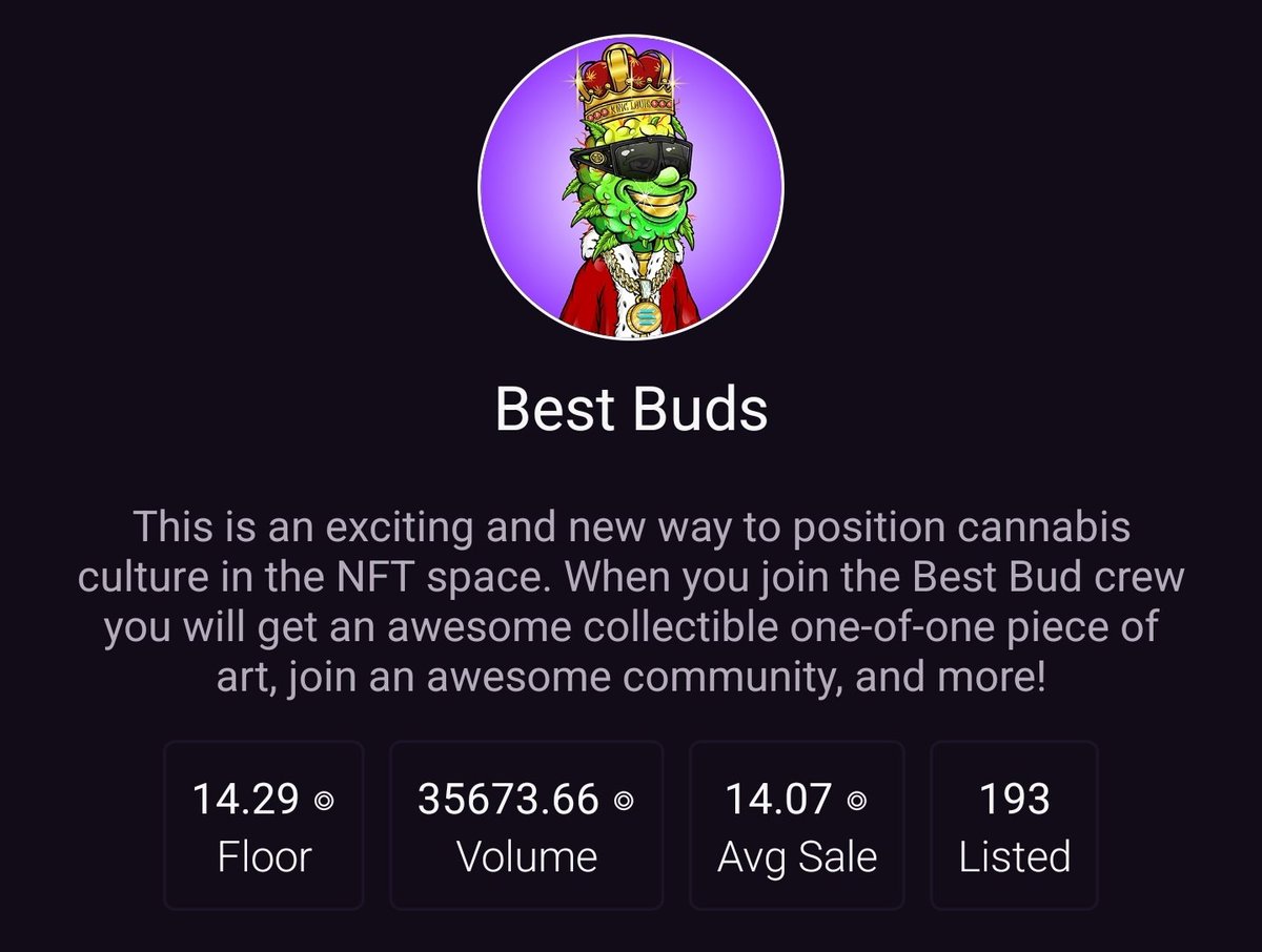 BillyBlokchain's tweet photo. Probably nothing huh?

#BestBuds @BestBudsNFTs 
#SolanaNFTs #Solana #SolanaWinter https://t.co/Gx85zq4fqw