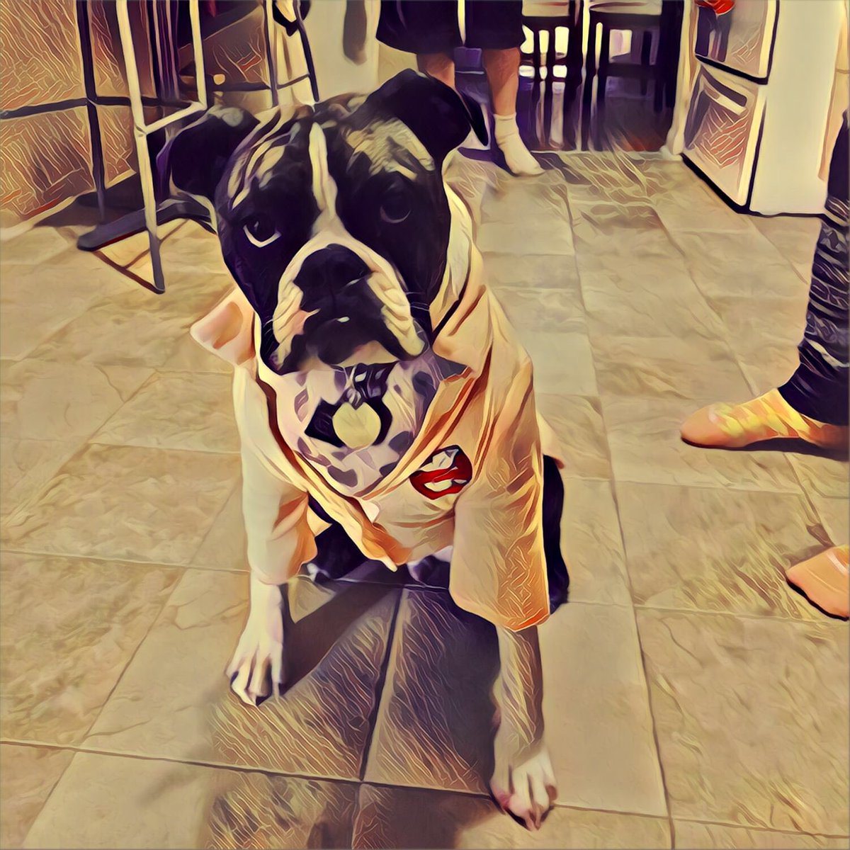 KaiGalang10's tweet photo. Harv wants to say Goodnight ! #DogsofMandoxFamily looking Good Harv! @gorebashd @DogsOfMandoX #MandoxMilitia https://t.co/0Ejei1oAeV