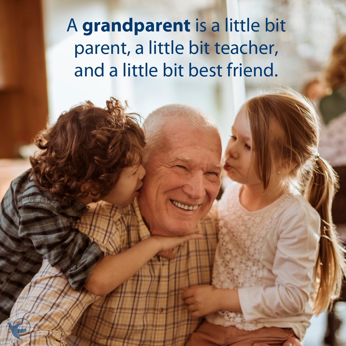 _VisitingAngels's tweet image. 