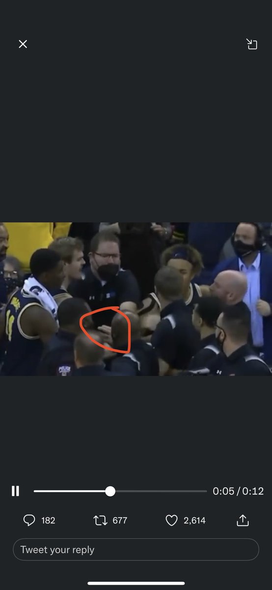 Mitch Wingrove tweet media