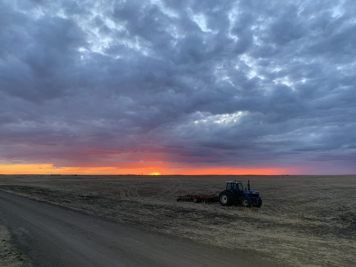 MariahWinny's tweet photo. Proud to be a part of the industry🌾 #CdnAgDay https://t.co/E5A2Qq8UZw
