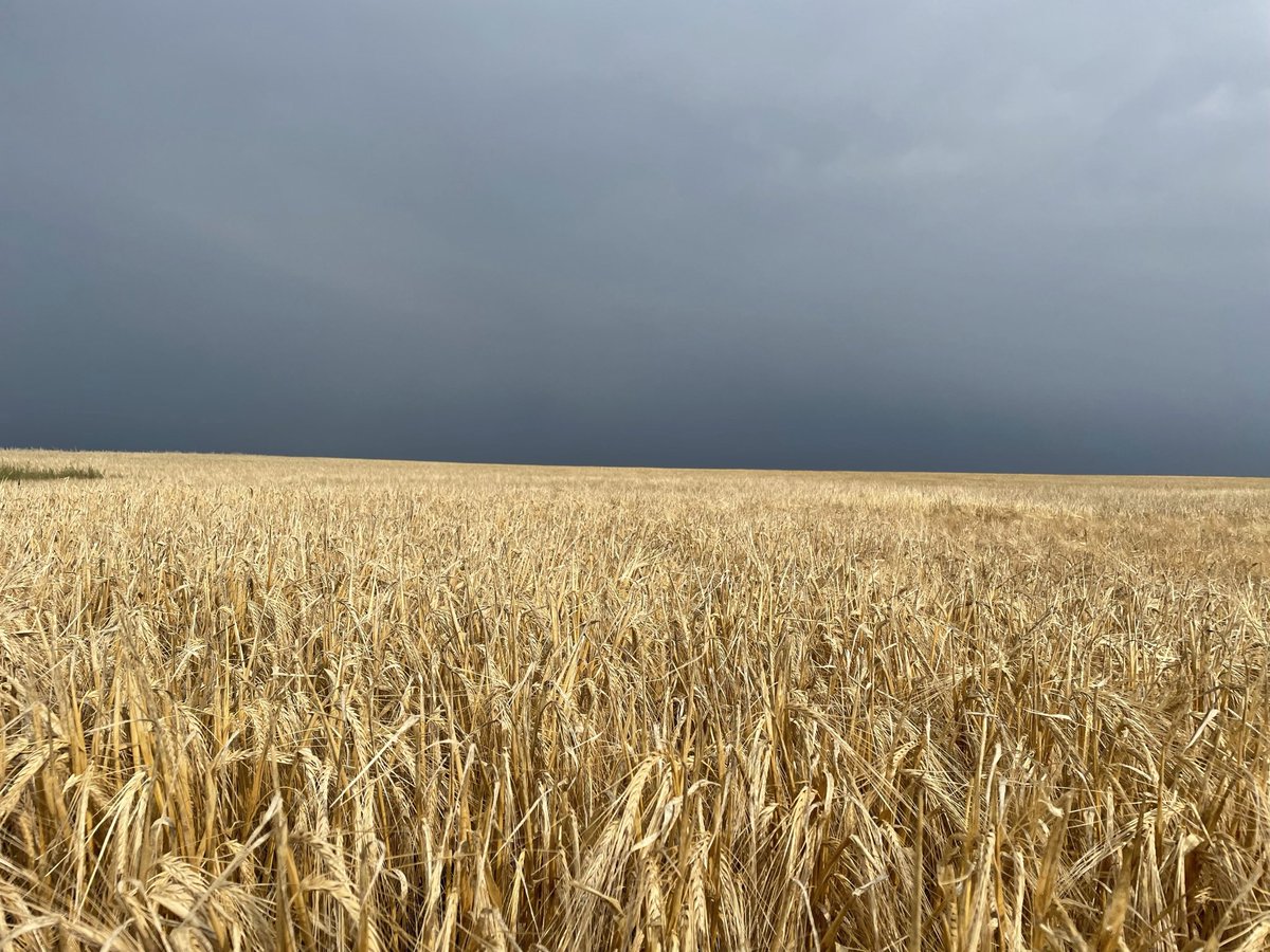 MariahWinny's tweet photo. Proud to be a part of the industry🌾 #CdnAgDay https://t.co/E5A2Qq8UZw