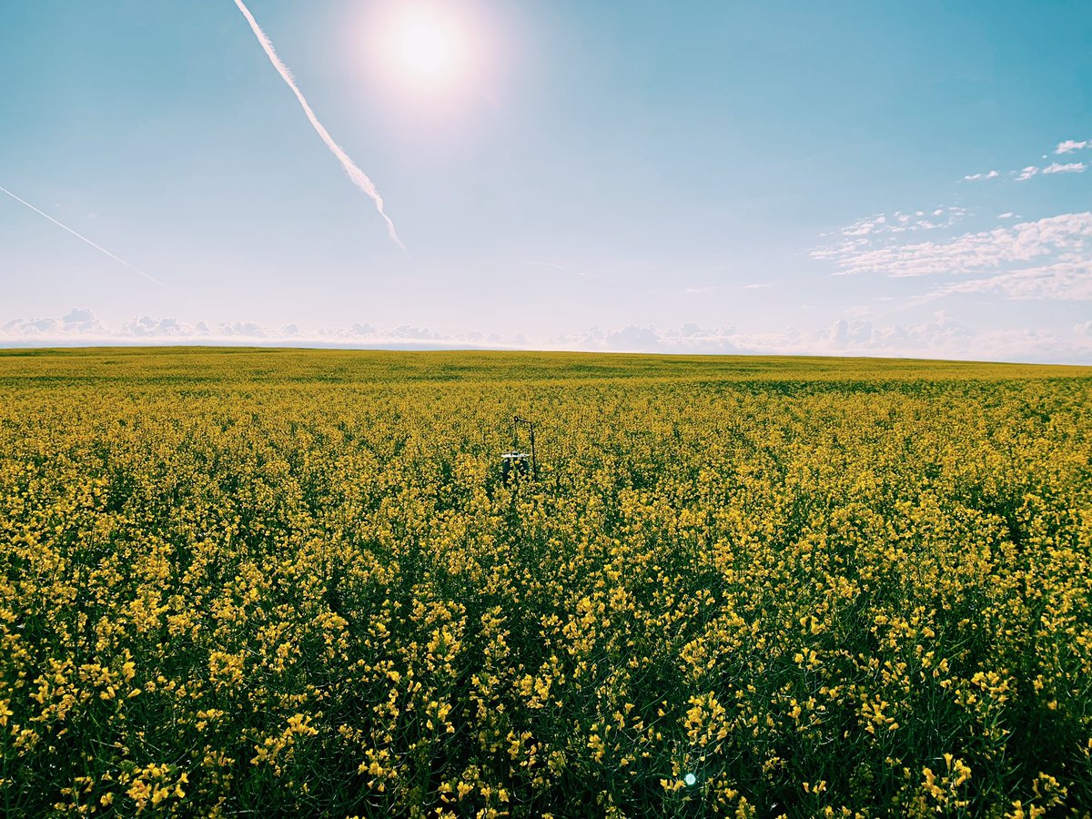 MariahWinny's tweet photo. Proud to be a part of the industry🌾 #CdnAgDay https://t.co/E5A2Qq8UZw