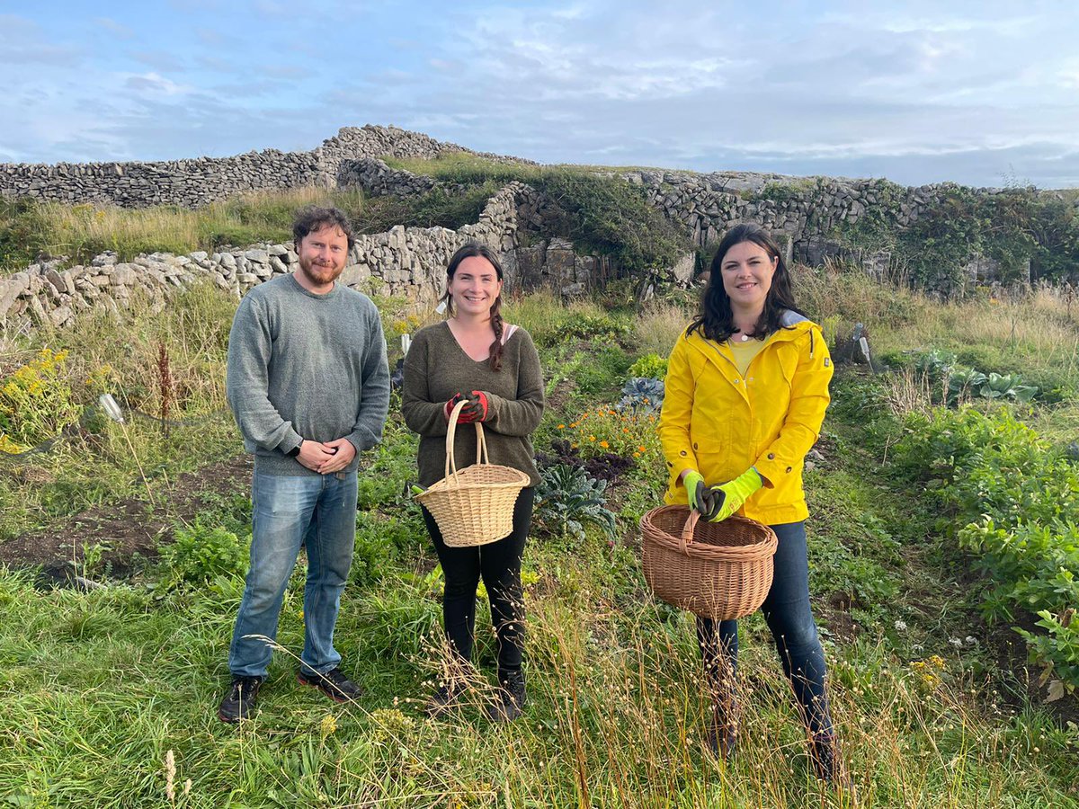 AineEibhlin's tweet photo. Inis Oírr na gréine !
Amárach 8:30 an Cósta Thiar 
Curachaí,garraíodóireacht,dúlra&amp; peil! 

#cóstatg4
 #inisoírr

 @AniarTV @TG4TV https://t.co/qUhLEFrIV9