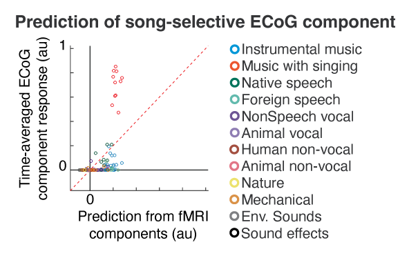 Sam Norman-Haignere tweet media