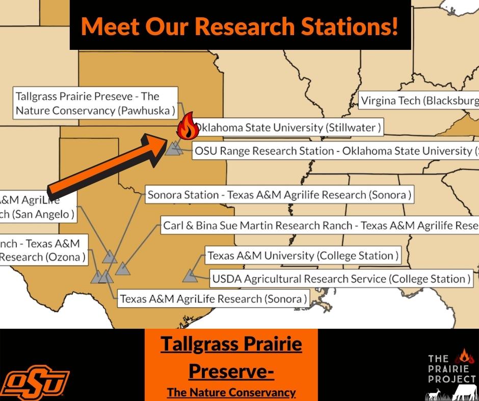 prairierestored's tweet photo. Meet our Research Stations!
Tallgrass Prairie Preserve- The Nature Conservancy
Located north of Pawhuska, Oklahoma and in the southern extent of the Flint Hills Ecoregion, the Tallgrass Prairie Preserve is owned and operated by The Nature Conservancy. https://t.co/lfrox3zqMJ
