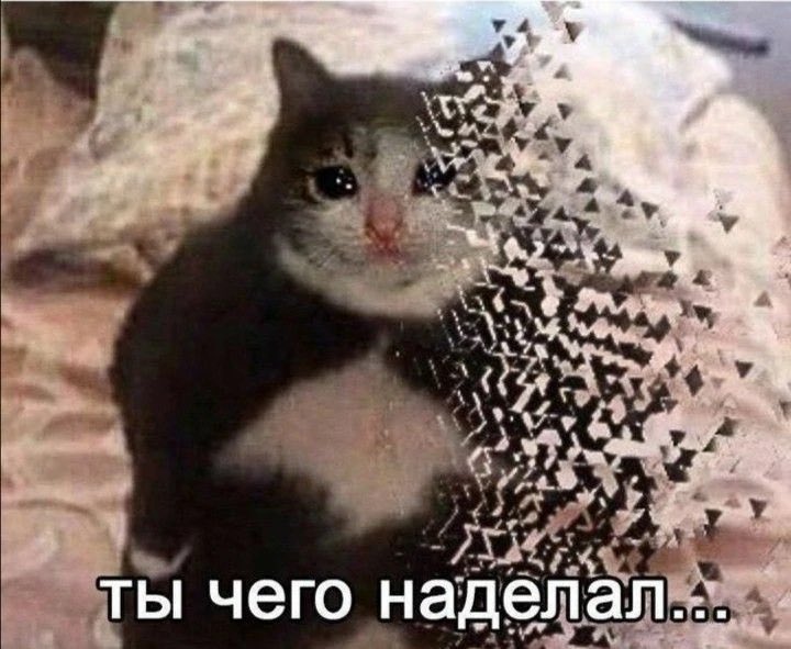 Плачущий котенок