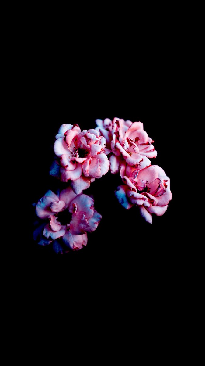 افعل الخير. وسيعودُ إليك بطرُق لا تتوقعها.
_” Do good . It will come back to you in unexpected ways.”