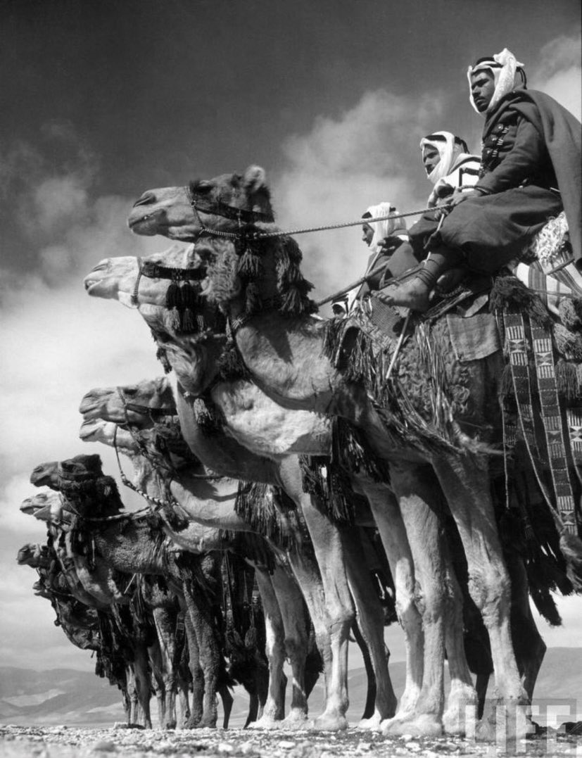 F_aldhaher's tweet photo. نعتز بهذا اليوم المجيد .. ونحمد الله عليه 
سائلين المولى أن يحرس بلادنا ومقدساتها وقيادتها وشعبها بحفظه المتين ؛🇸🇦
#يوم_التاسيس https://t.co/IYpdcx1YKy