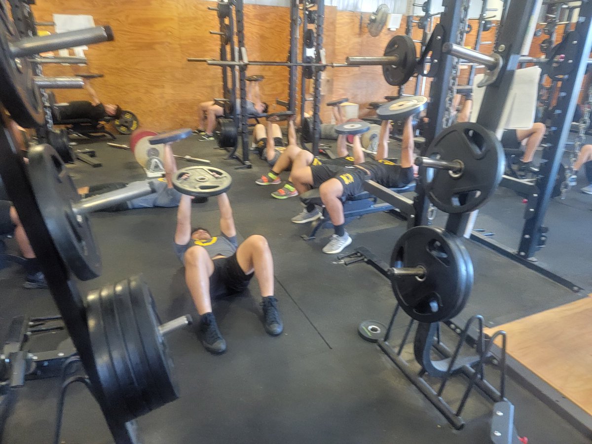 joehubb74's tweet photo. Hornets hard at work! https://t.co/vK4KbXbrA4