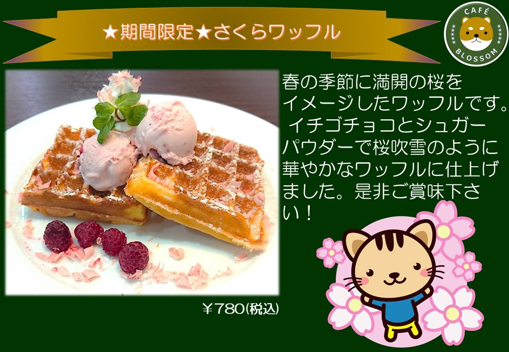 Cafe Bar Blossom 行徳 Blossom Gyotoku Twitter