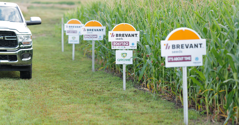 BrevantseedsUS's tweet photo. Yield + corn rootworm protection = a winning combination.
If you’re looking for proven CRW protection this season, look no further than Brevant® brand #Qrome products.
