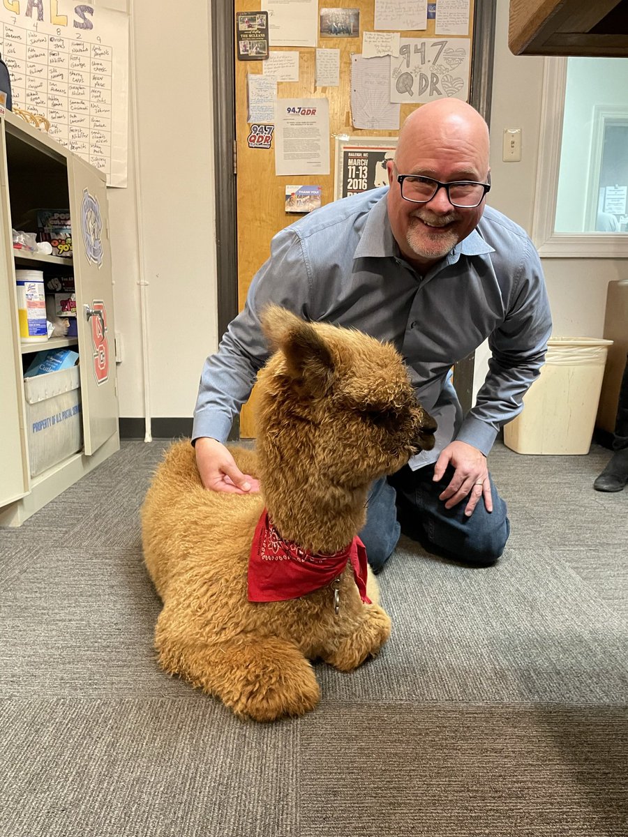 mikewheless's tweet photo. Good day with #PumpkintheAlpaca! #alpacatuesday #twosday #alpaca #radiolife #hashtagpolice https://t.co/QIyP8UM6FN