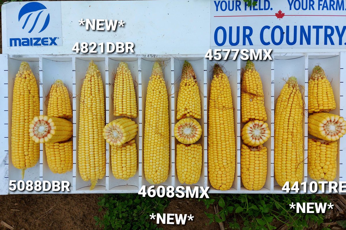 Happy #CdnAgDay! Here's to all the people in #CdnAg the farmers, agronomists, sales people, truckers livestock producers, and every one else from the start to the store. Thanks for all your hard work and dedication to #CanadianAgriculture