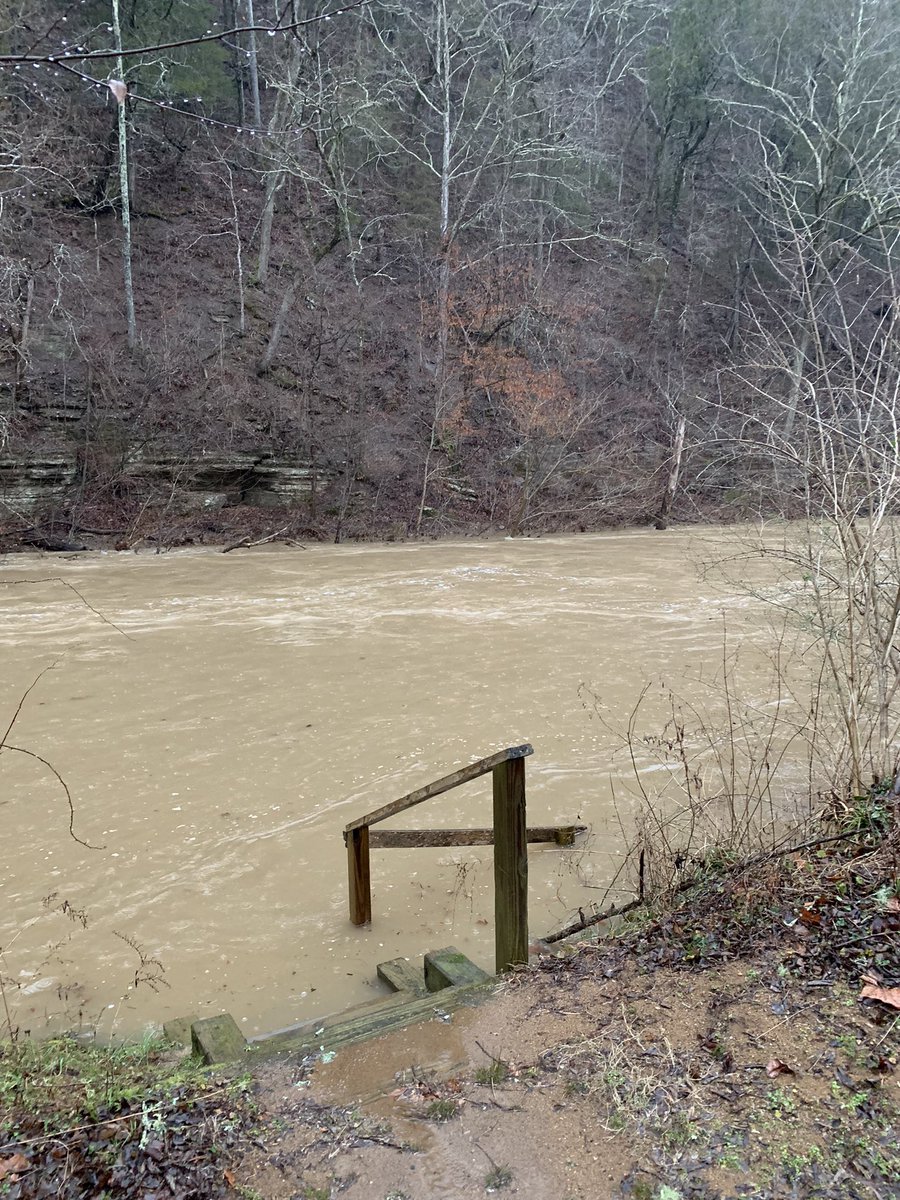 Dave Hoerman tweet media