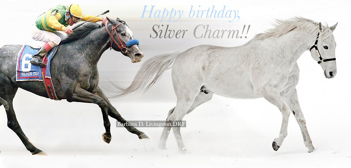 DRFLivingston's tweet photo. You rock, SILVER CHARM, on your 28th birthday and always!

And long may you reign at your @Oldfriendsfarm home. https://t.co/M7IbNDJu3L