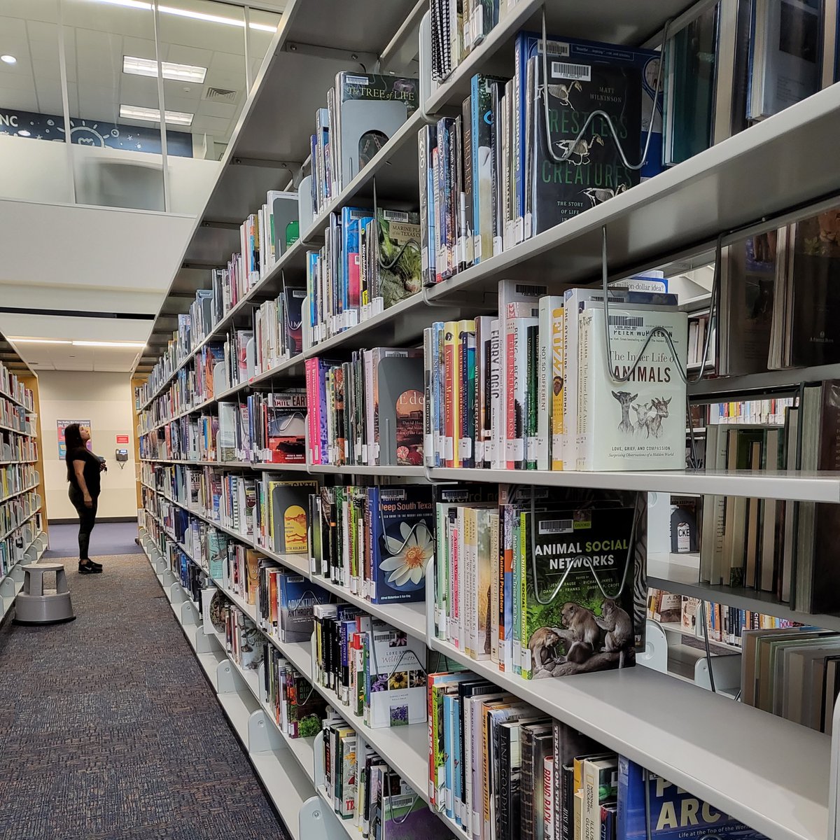 LSCCYFLibrary's tweet photo. It's the perfect day to browse the stacks. We're open until 8pm today. View our weekly hours here: https://t.co/L4tt9CSM0g. #harriscoutypl #cyfairlibrary #lsccyfairlibrary #lsccyfair #IntheStacks https://t.co/QGP4NsC2rx