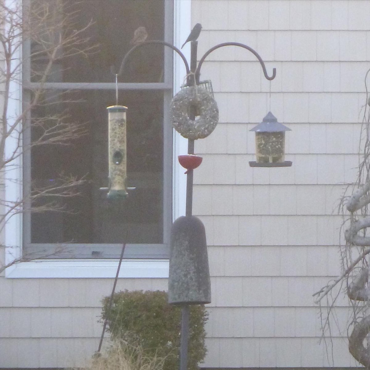 floyd_library's tweet photo. A big thanks to a couple of our patrons who shared their finished bird feeder wreaths with us to show off 🐦
Keep an 👁 for our March Newsletter with more fun programs courtesy of #FloydMemorialLibrary. https://t.co/MABdSc9s6W