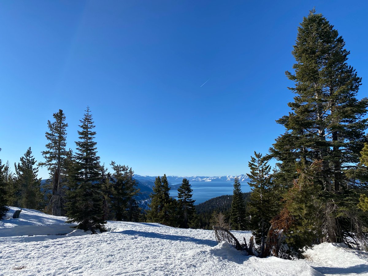 Bob Shriver tweet media