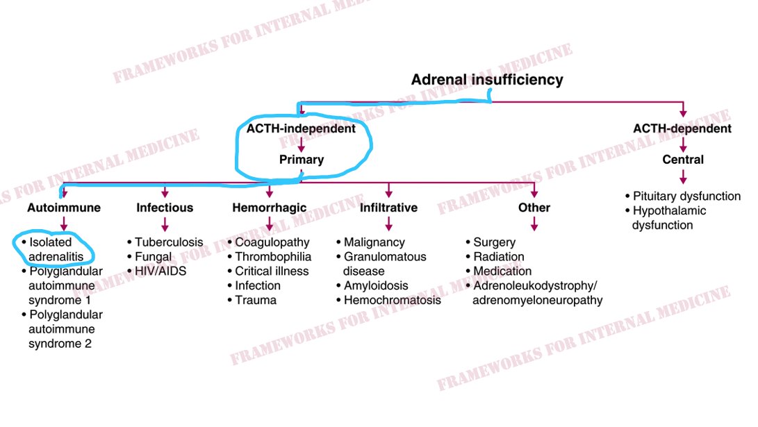 André Martin Mansoor tweet media
