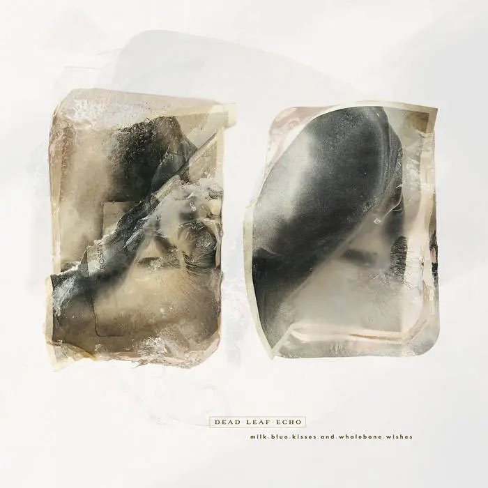 #Chronique Le collectif de Brooklyn Dead Leaf Echo revient avec un nouvel EP visant le mur du son lesoreillescurieuses.com/2022/01/26/dea…
