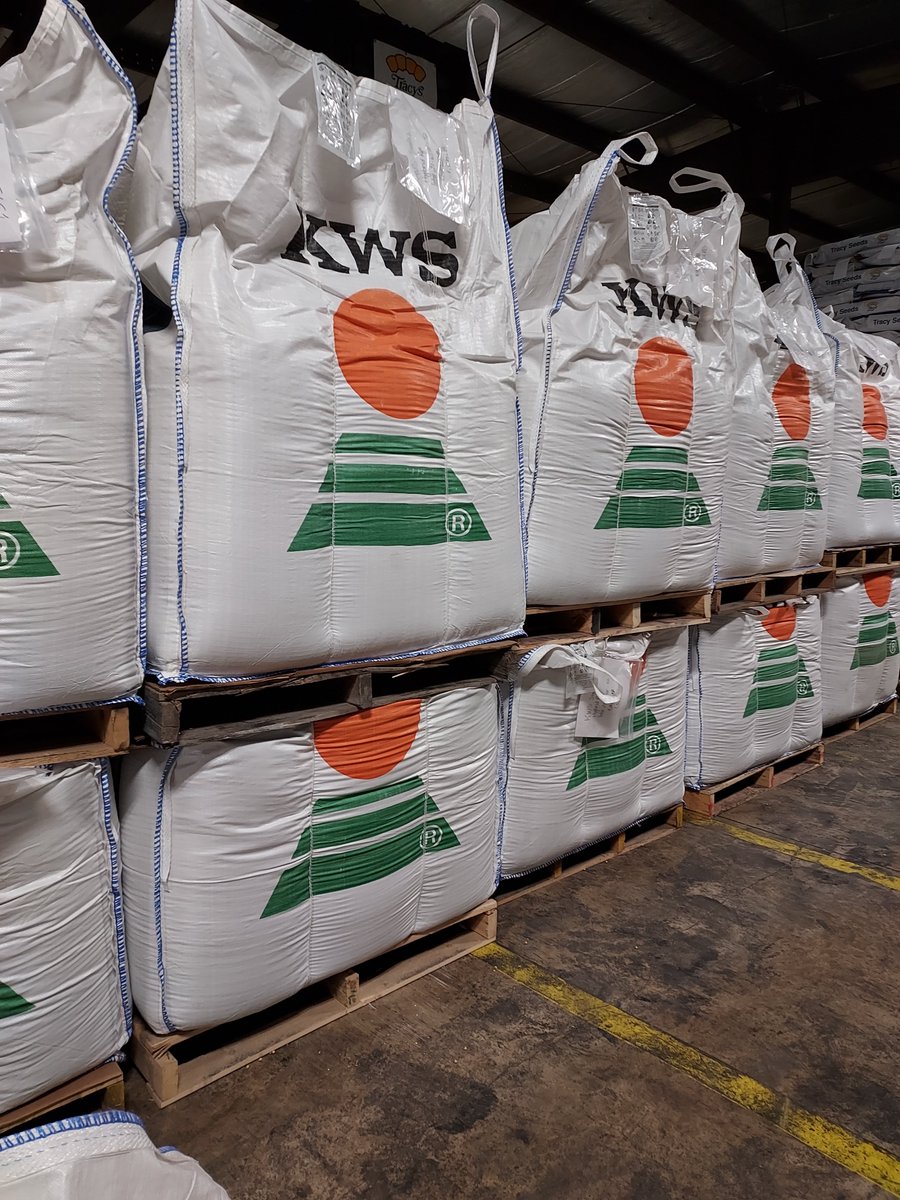 KwsUS_Rye's tweet photo. 👀 Look at these beautiful bags of Hybrid Rye ready to head to your fields and go to work later this year.

#ryevolution #whyrye #hybridrye https://t.co/qk32Eu0ss3