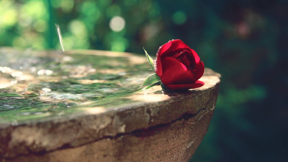 “I’ve been told my eyes are like gemstones. What do you think?”
⠀
⠀⠀⠀⠀⠀• mysticalsongs.carrd.co