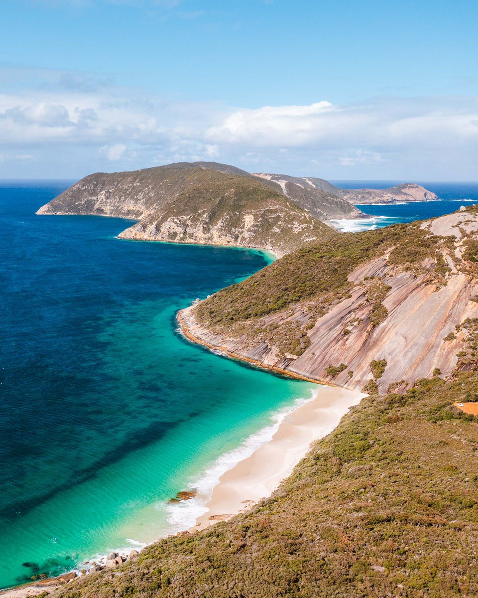 Dylan Alcock tweet media